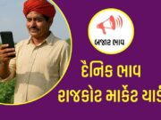 દૈનિક ભાવ – રાજકોટ માર્કેટ યાર્ડ : APMC Rajkot Marketing Yard APMC Rajkot Marketing Yard