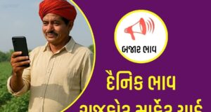 દૈનિક ભાવ – રાજકોટ માર્કેટ યાર્ડ : APMC Rajkot Marketing Yard APMC Rajkot Marketing Yard