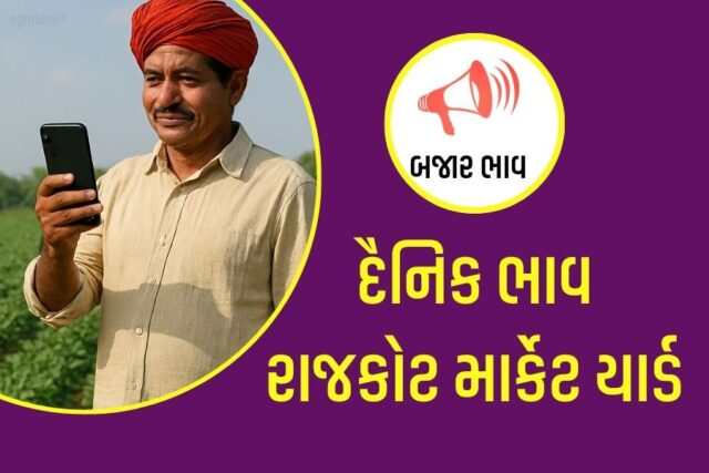 APMC Rajkot Marketing Yard