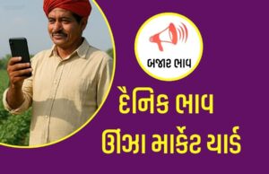 દૈનિક ભાવ – ઊંઝા માર્કેટ યાર્ડ : APMC Unjha Marketing Yard